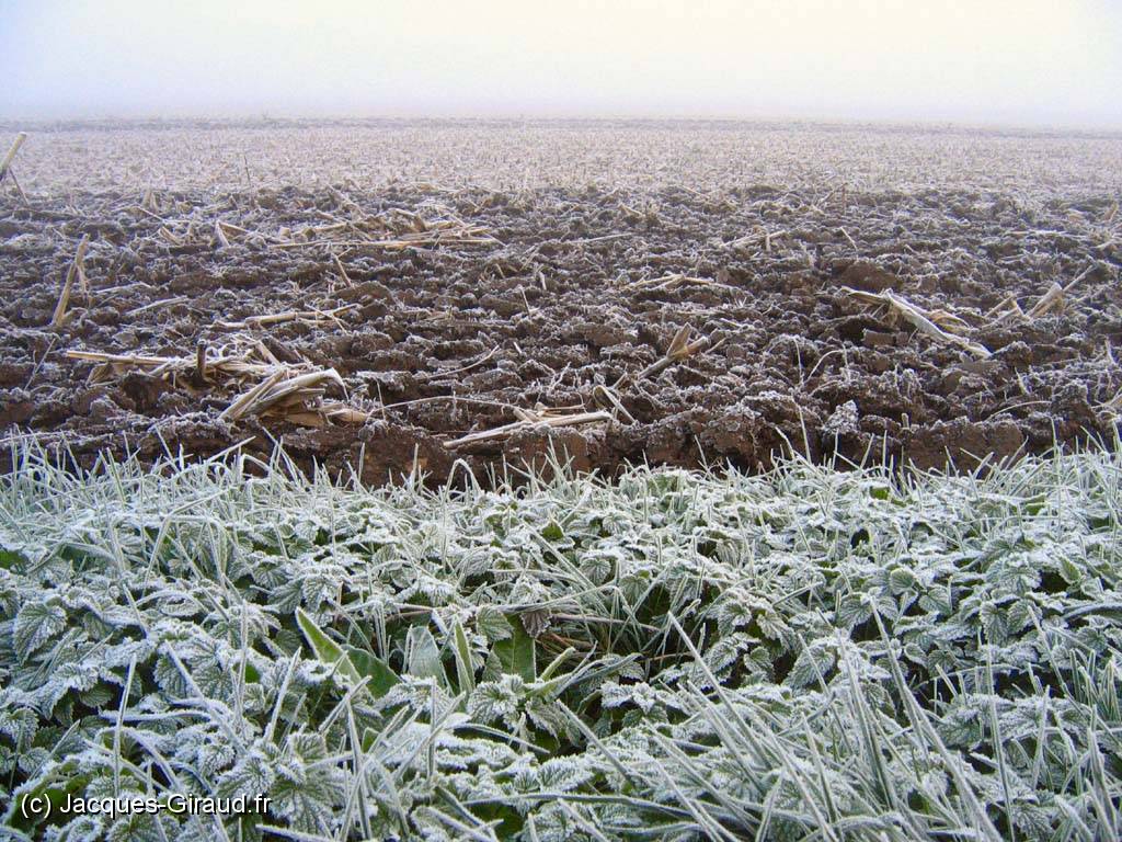 2005-11-19 08-03-10 novembre 37,6mm 1_60_eme f4,5(x1024).jpg